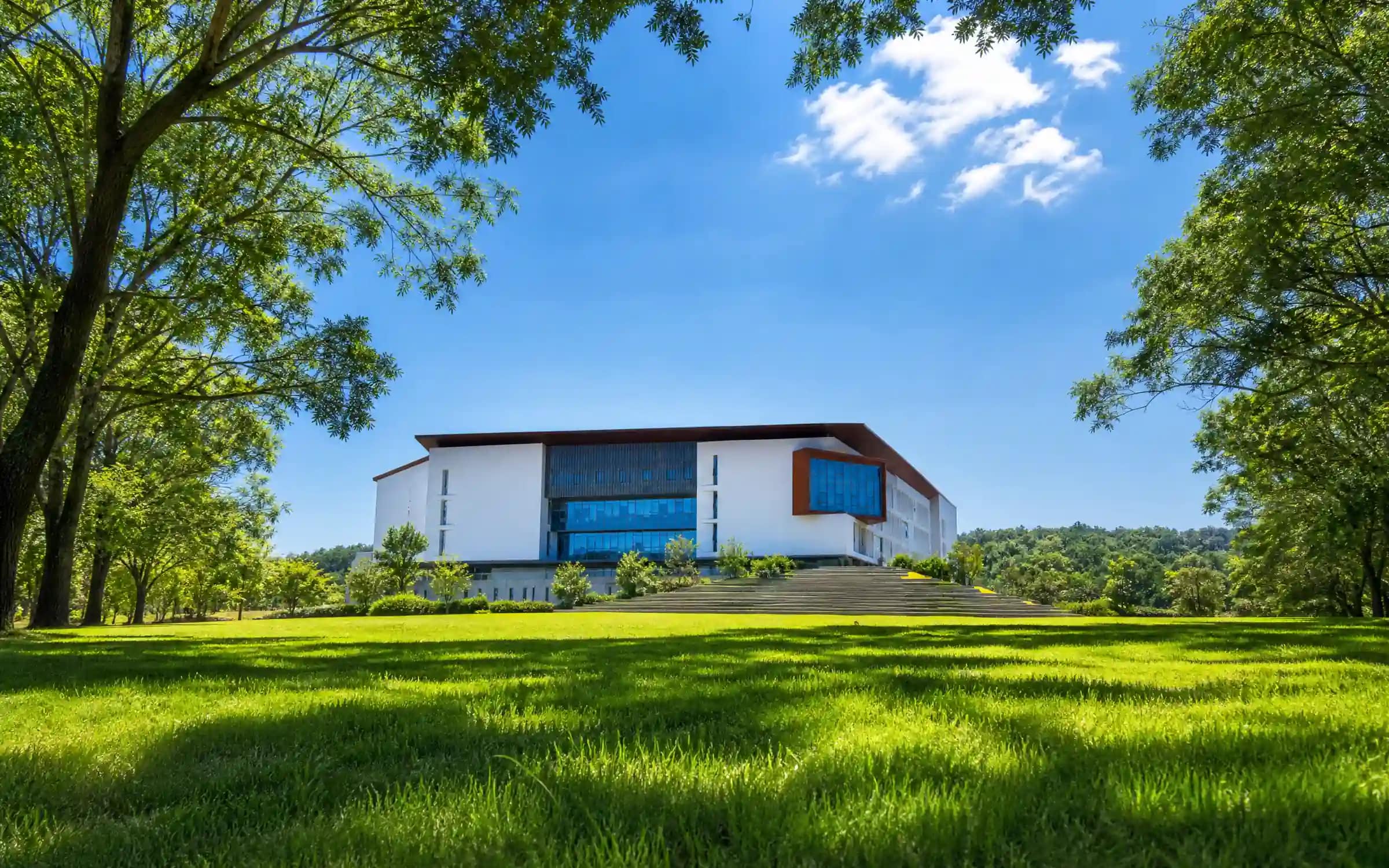 浙江农林大学校园建筑与林荫草地，为表达训练提供安静的校园场景